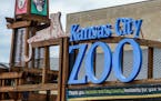 The Kansas City Zoo and Variety KC recently announced they are building "the first all-inclusive playground of its kind at any zoo nationwide." (Lisa 