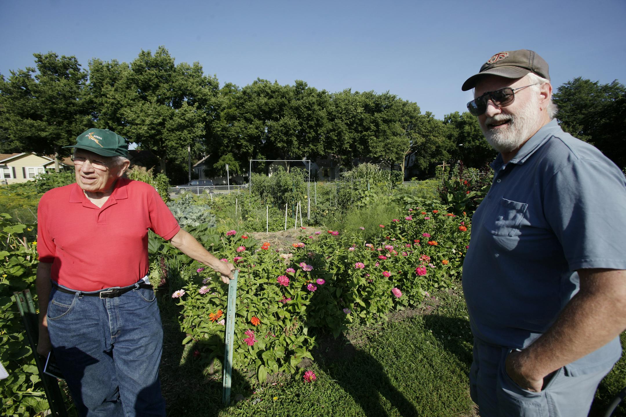 Jerry Foley (left) and Jeffery Loesch in the Dowling Community Gardens in Minneapolis, MN on August 12, 2013. ] JOELKOYAMA‚Ä¢joel koyama@startribune Dowling Community Gardens in Minneapolis are marking their 70th year this summer and are thought to be one of two surviving WWII Victory Gardens. An advance for the anniversary celebration on 8/24.