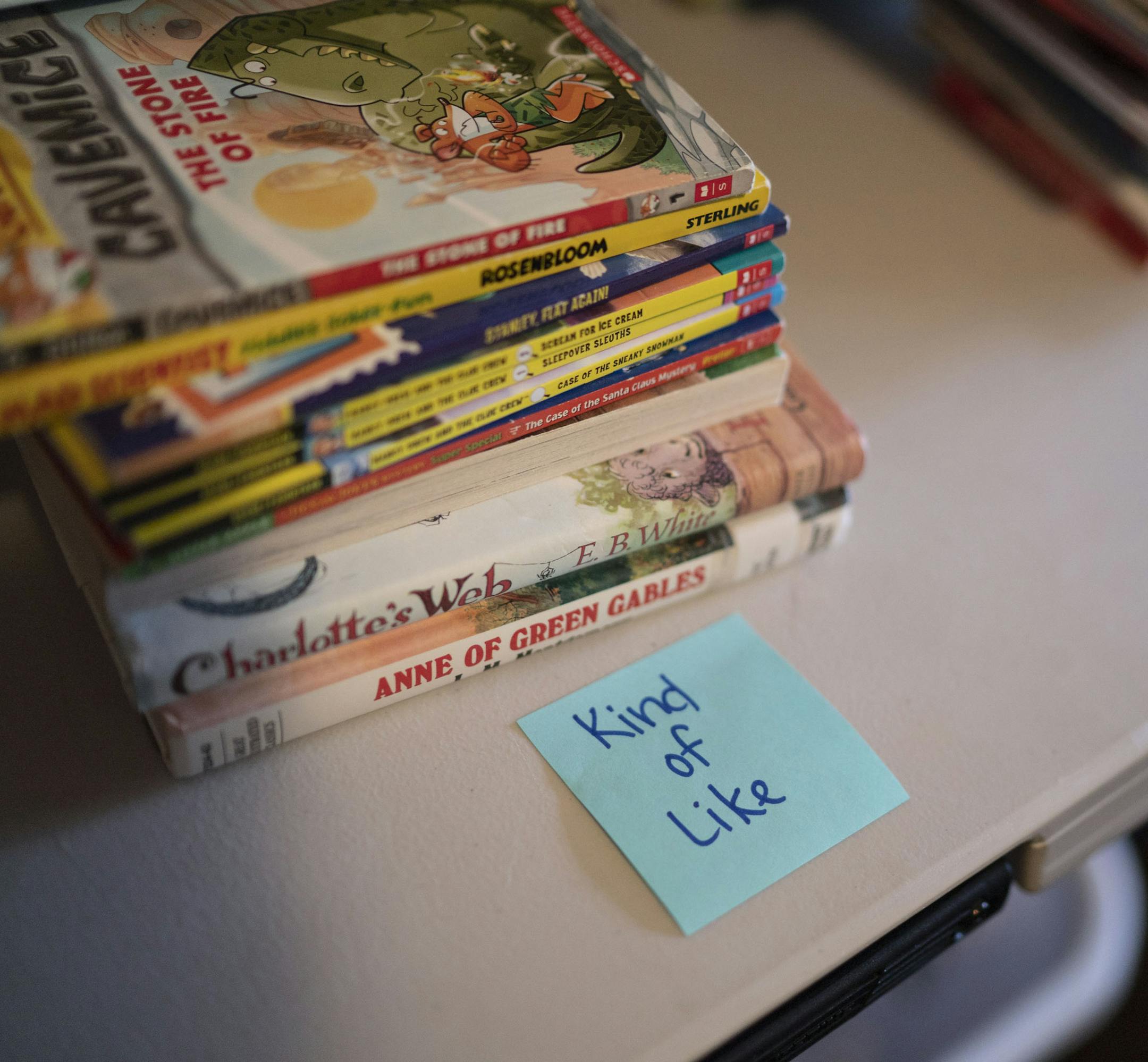 Kids' books, center, are sorted into three piles — "really like," "kind of like" and "don't like." The latter are donated.