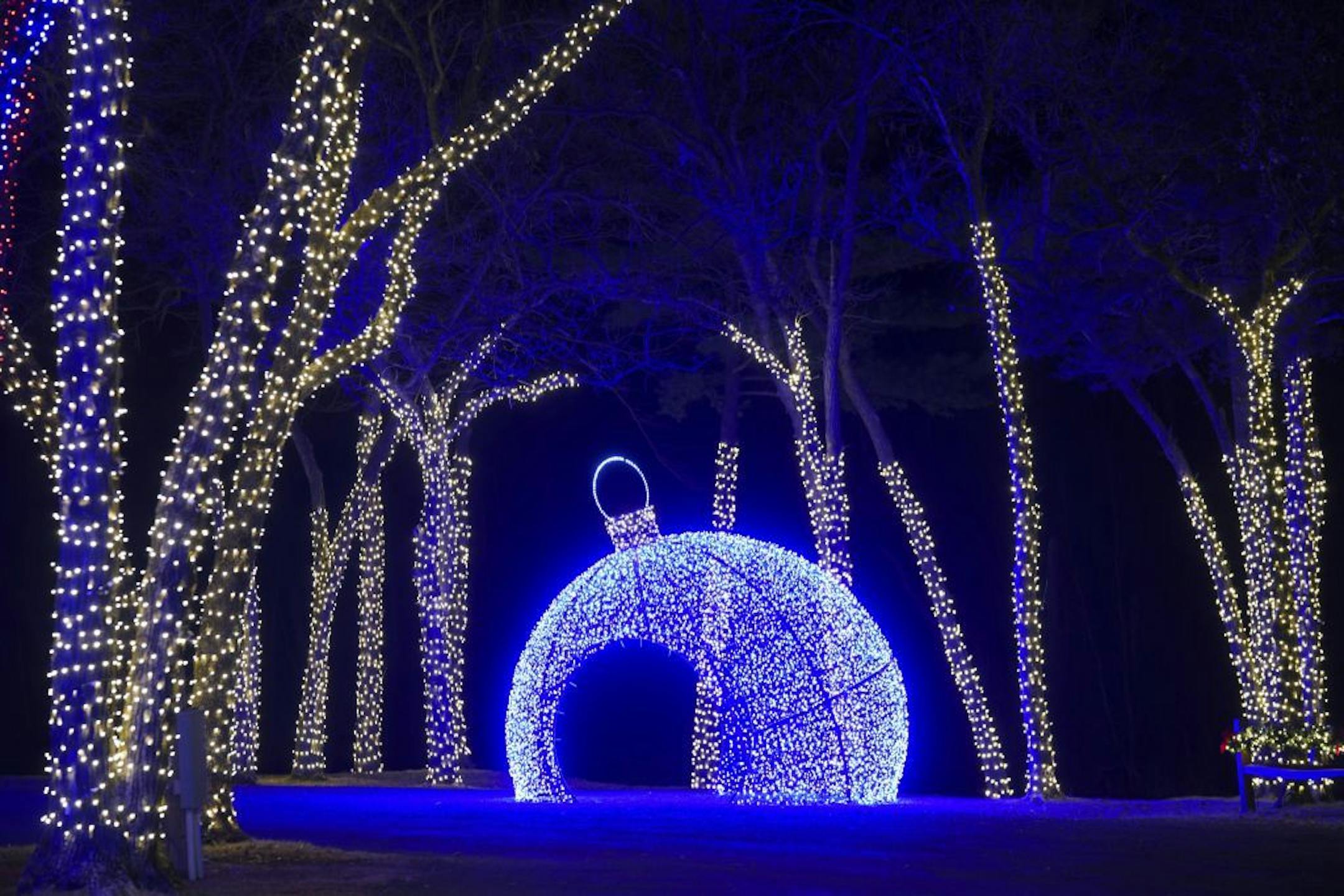A giant Christmas ball made up of blue lights will be a popular spot for selfies.