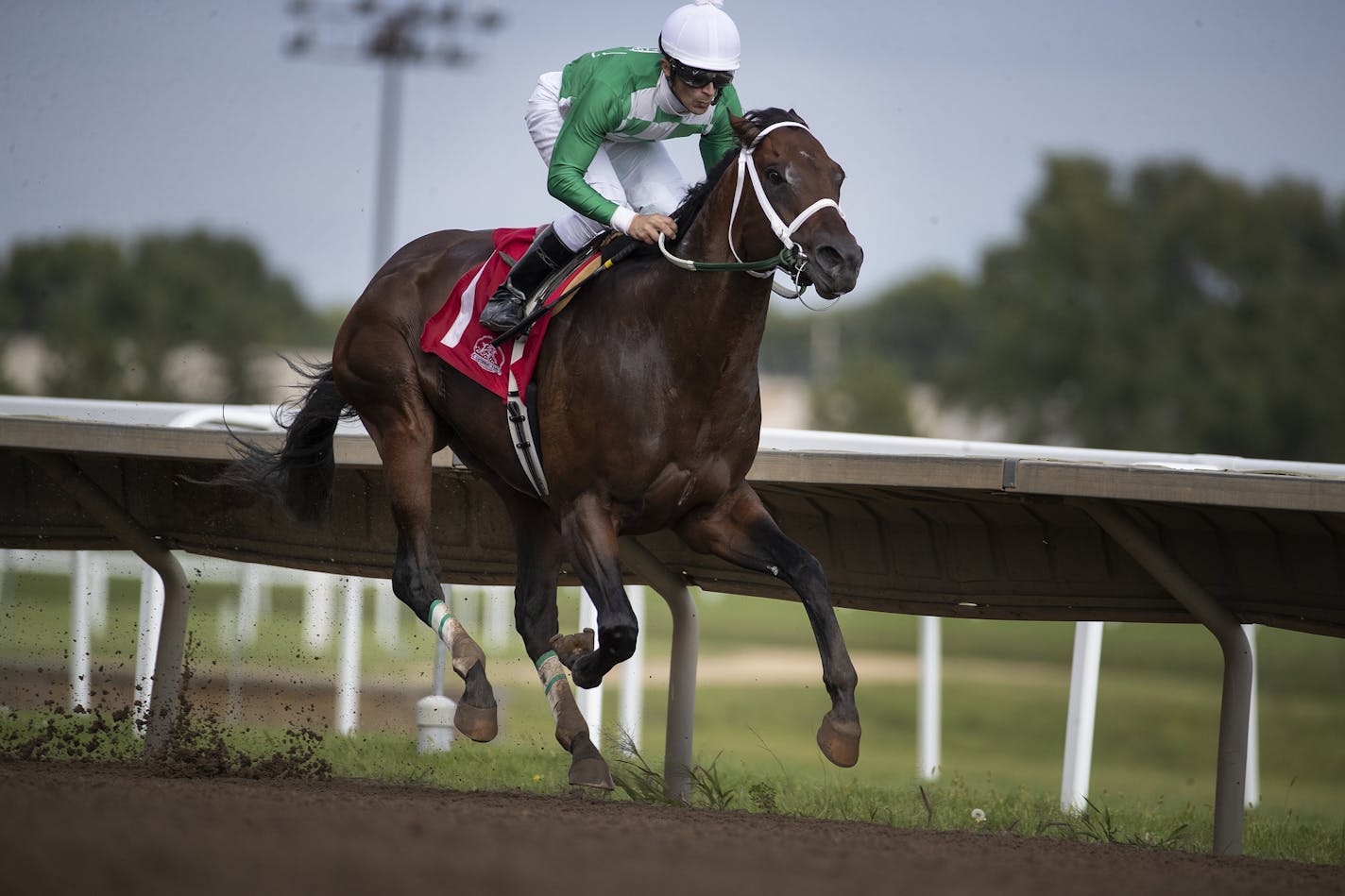 Jockey Leandor Goncalves road Mr. Jagermeister to the sprint championship during Festival of Champions races at Canterbury Park Sunday September 1,2019 in Shakopee, MN.] Jerry Holt • Jerry.holt@startribune.com