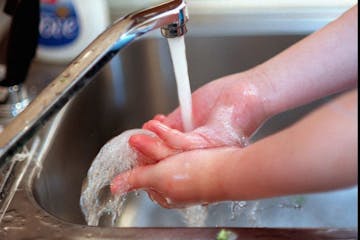 NEWS2USE STORY SLUGGED: NEWS2USE-HOME1 KRT PHOTOGRAPH BY JUSTIN HAYWORTH/WICHITA EAGLE (July 5) Wash your hands -- it's the most important way to prev