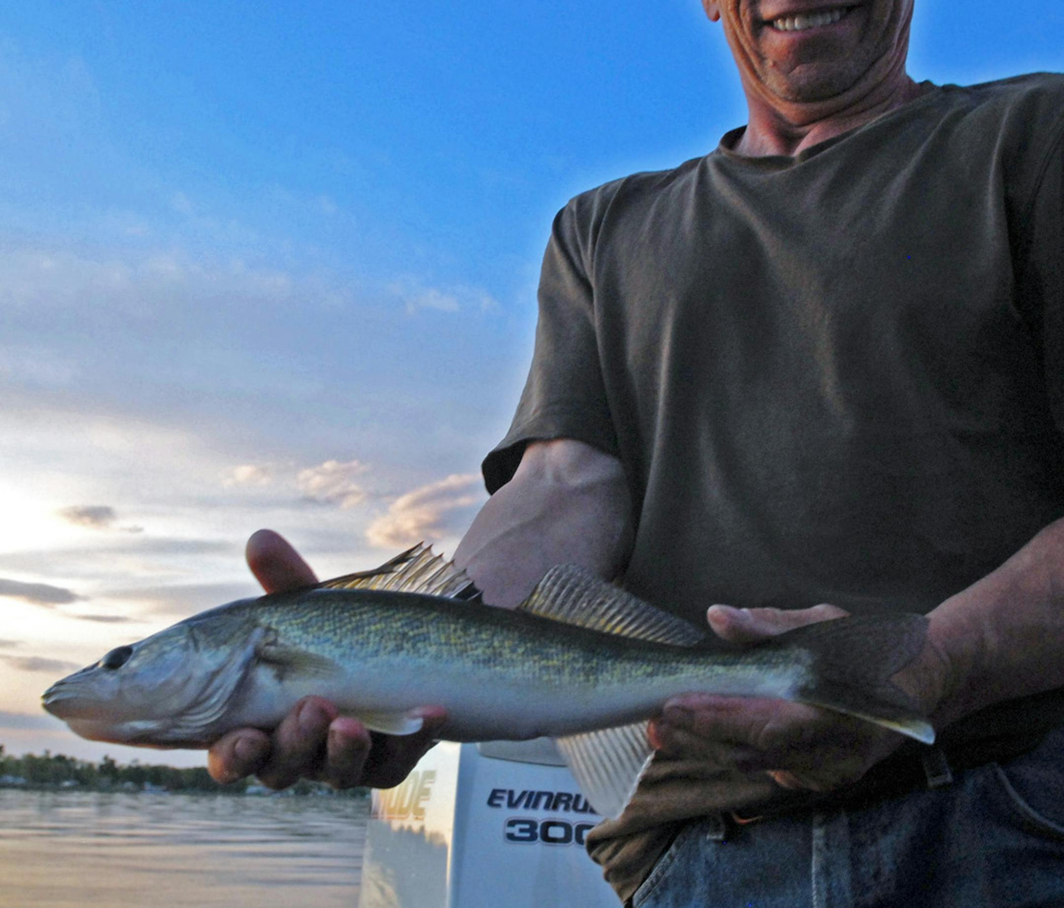 A shortage of perch and other baitfish might be one reason walleyes in Mille Lacs showed such a stronger winter bite, and now also a robust spring bite. Larry Baske holds this dandy keeper.