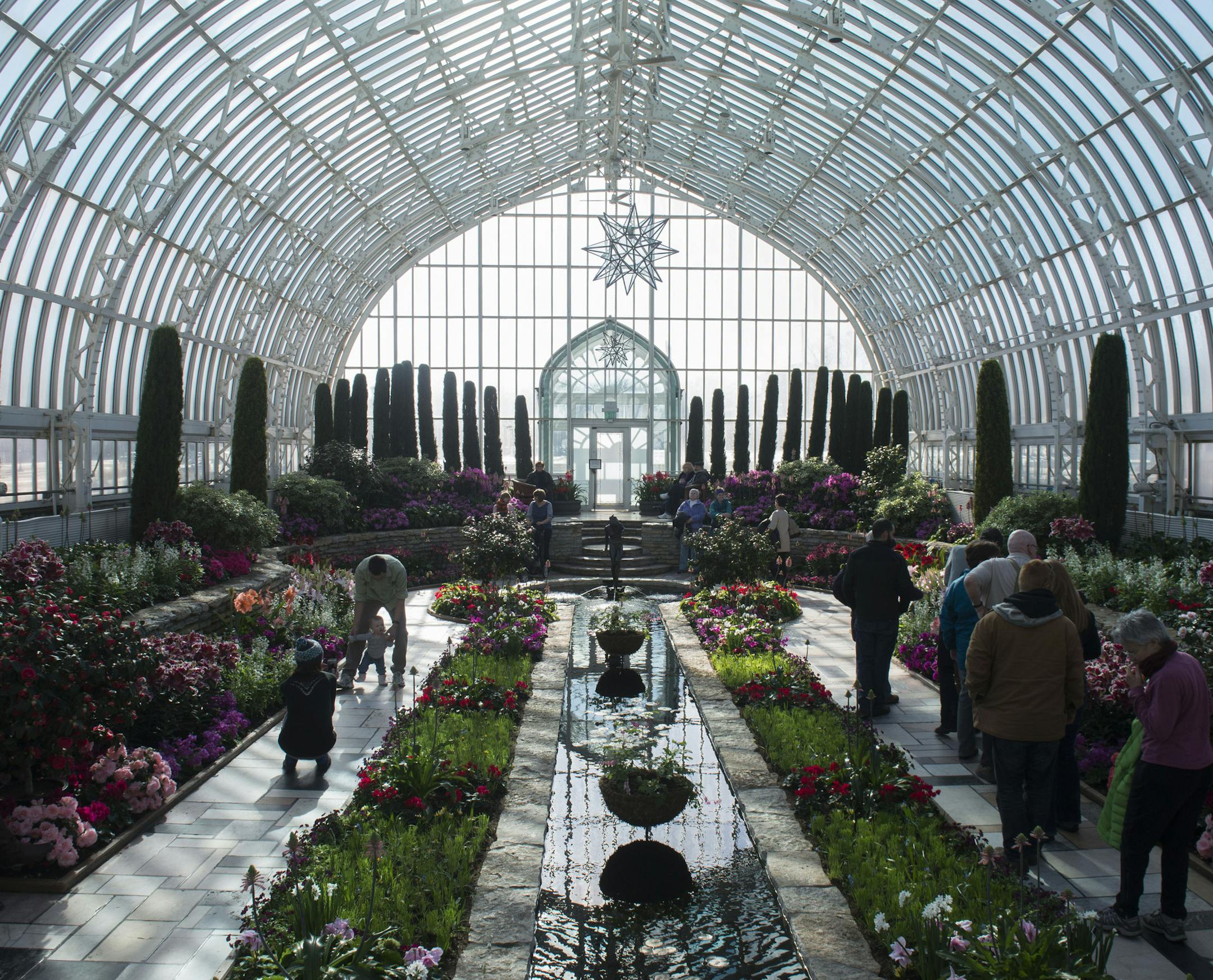 Visitors take photos and enjoy the flowers as they pass through the conservatory.] BRIDGET BENNETT SPECIAL TO THE STAR TRIBUNE • bridget.bennett@startibune.com Friday, Feb. 27, 2015 at Marjorie McNeely Conservatory in St. Paul, MN. Many visitors said it felt like summer inside the conservatory. Side note, the real name is Marjorie McNeely Conservatory but I have hear it often referred to as the como park conservatory or como conservatory. Not sure which to go with.
