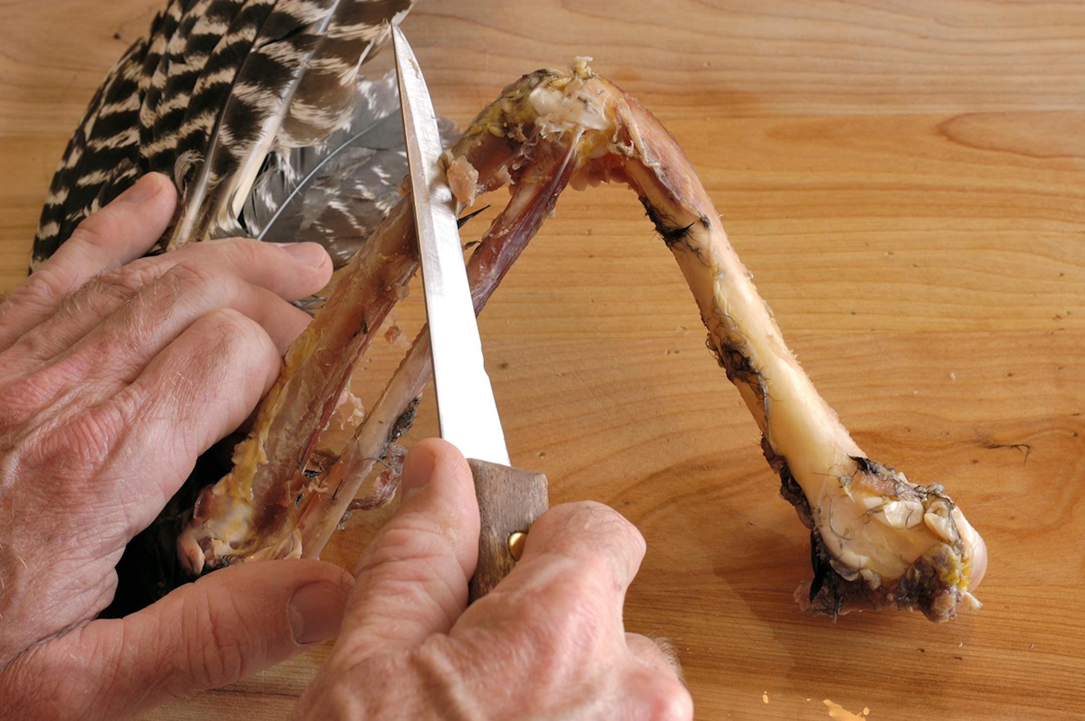 Use a knife to clean as much meat from the bones as possible.