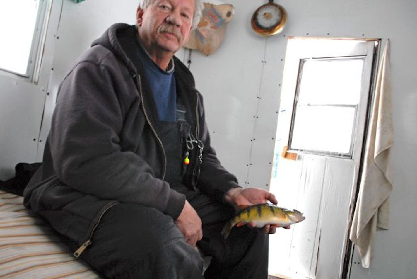 Roger Bialke of St. Francis began his fishing foray on Mille Lacs on Thursday by reeling in this plump percch. He planned to sleep and fish from his compact winter fishing house for three days.