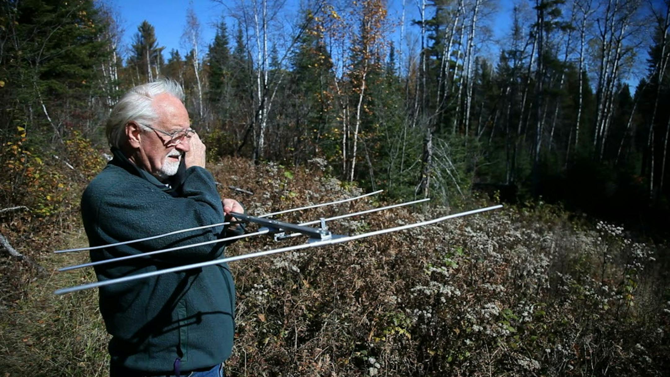 Lynn Rogers, founder and Executive Director of the North American Bear Center in Ely.