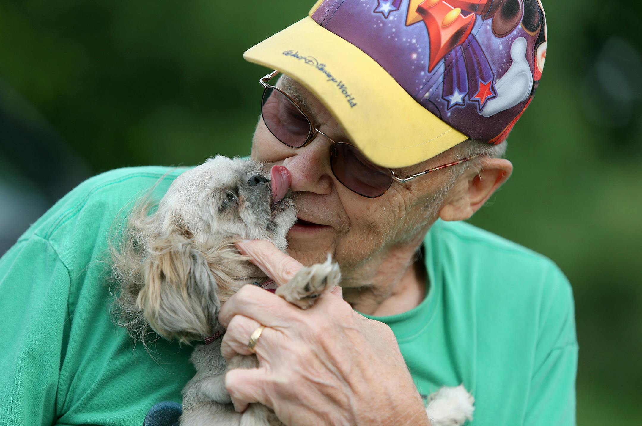 Marv Johnson, who is a bit of a neighborhood celebrity, received a lot of love from his smallest dog Tootsie during a morning bike ride, Tuesday, August 6, 2013 at Palmer Lake Park in Brooklyn Park, MN. Johnson is known for tooling around town on his bike with a trailer full of puppy dogs. He's the local dog sitter and he's become a fixture of Palmer Lake Park. (ELIZABETH FLORES/STAR TRIBUNE) ELIZABETH FLORES &#x2022; eflores@startribune.com