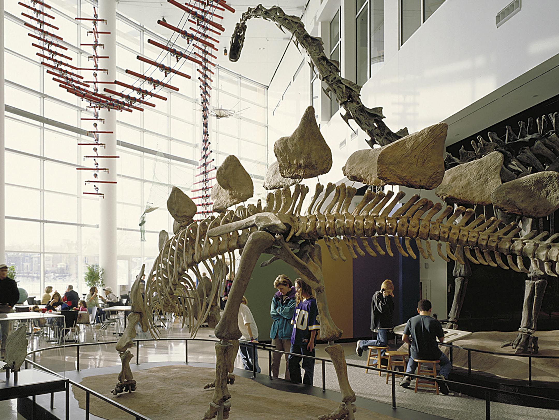 Dinosaurs at the Science Museum of Minnesota. Provided by Science Museum of Minnesota