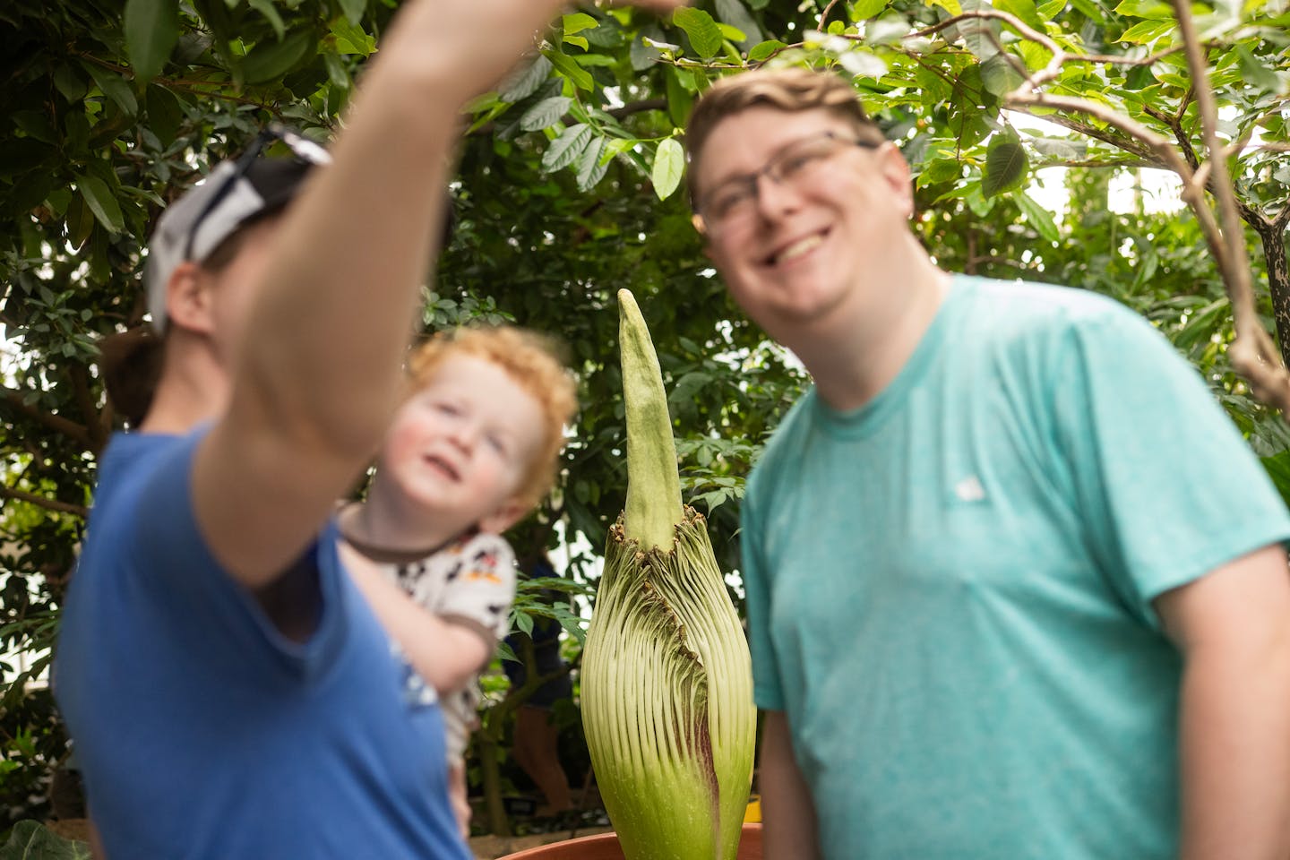 Fans line up Sunday to see Como Conservatory's corpse flower, which is expected to bloom later Sunday or days after that. The corpse flower, one of th