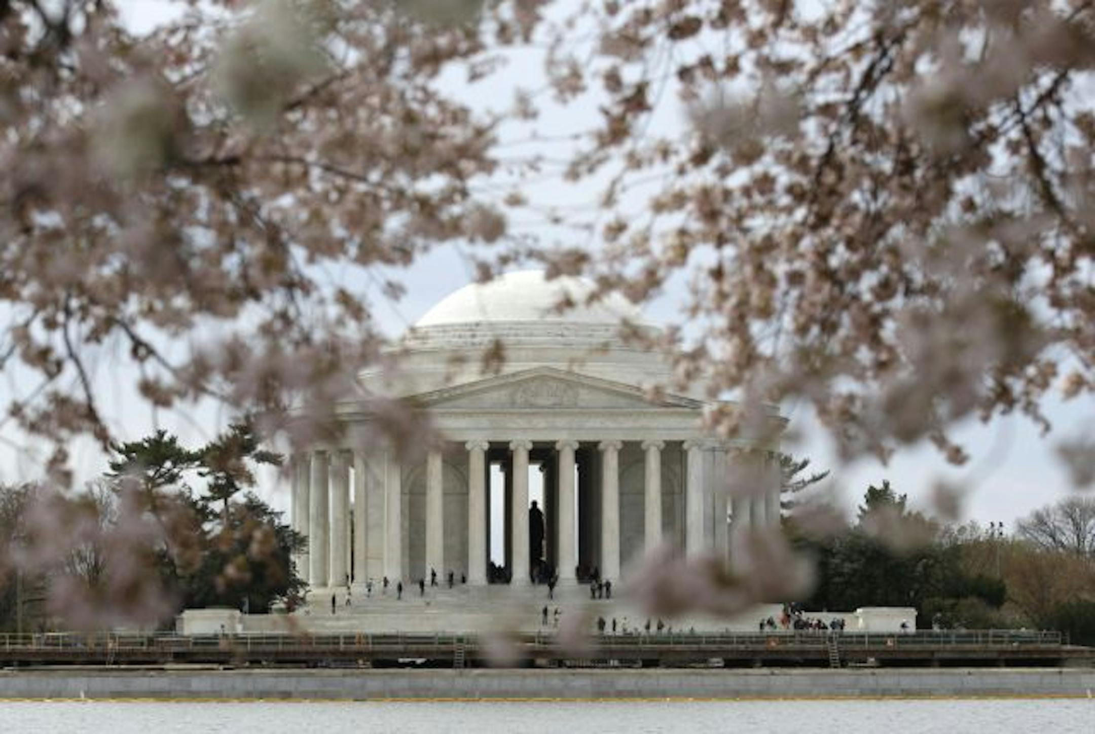 The Jefferson Memorial is seen through blossoming cherry trees across the Tidal Basin in Washington, Monday, March 28, 2011. The National Cherry Blossom Festival runs through April 10.