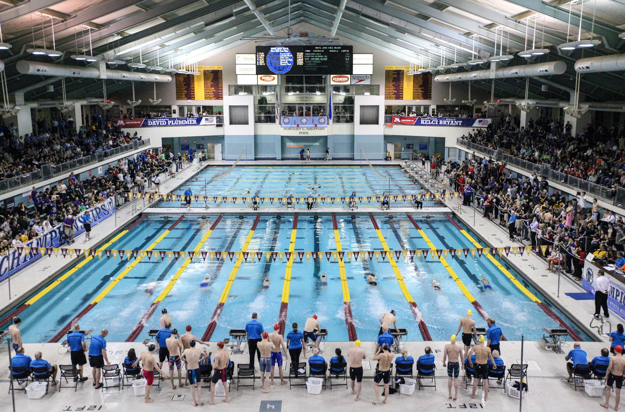 The NCAA men's swimming and diving championships are being held through Saturday at the Jean K. Freeman Aquatic Center at the University of Minnesota.