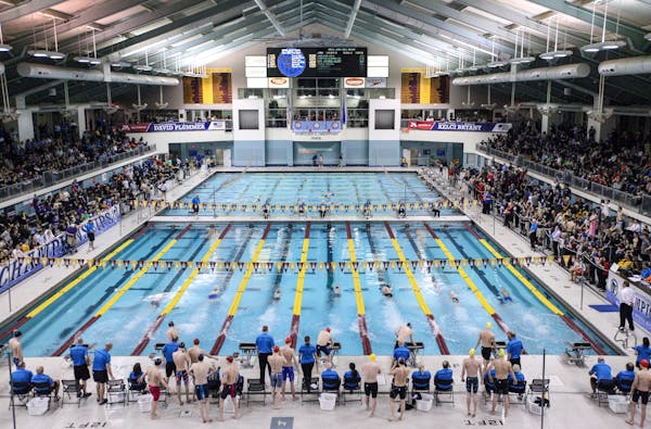 The NCAA men's swimming and diving championships are being held through Saturday at the Jean K. Freeman Aquatic Center at the University of Minnesota.