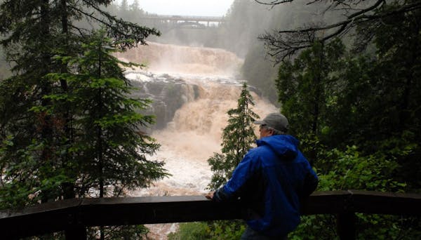Retired Gooseberry Falls State Park manager Paul Sundberg overlooked the raging waters of the Gooseberry River on Wednesday. "If the state parks close