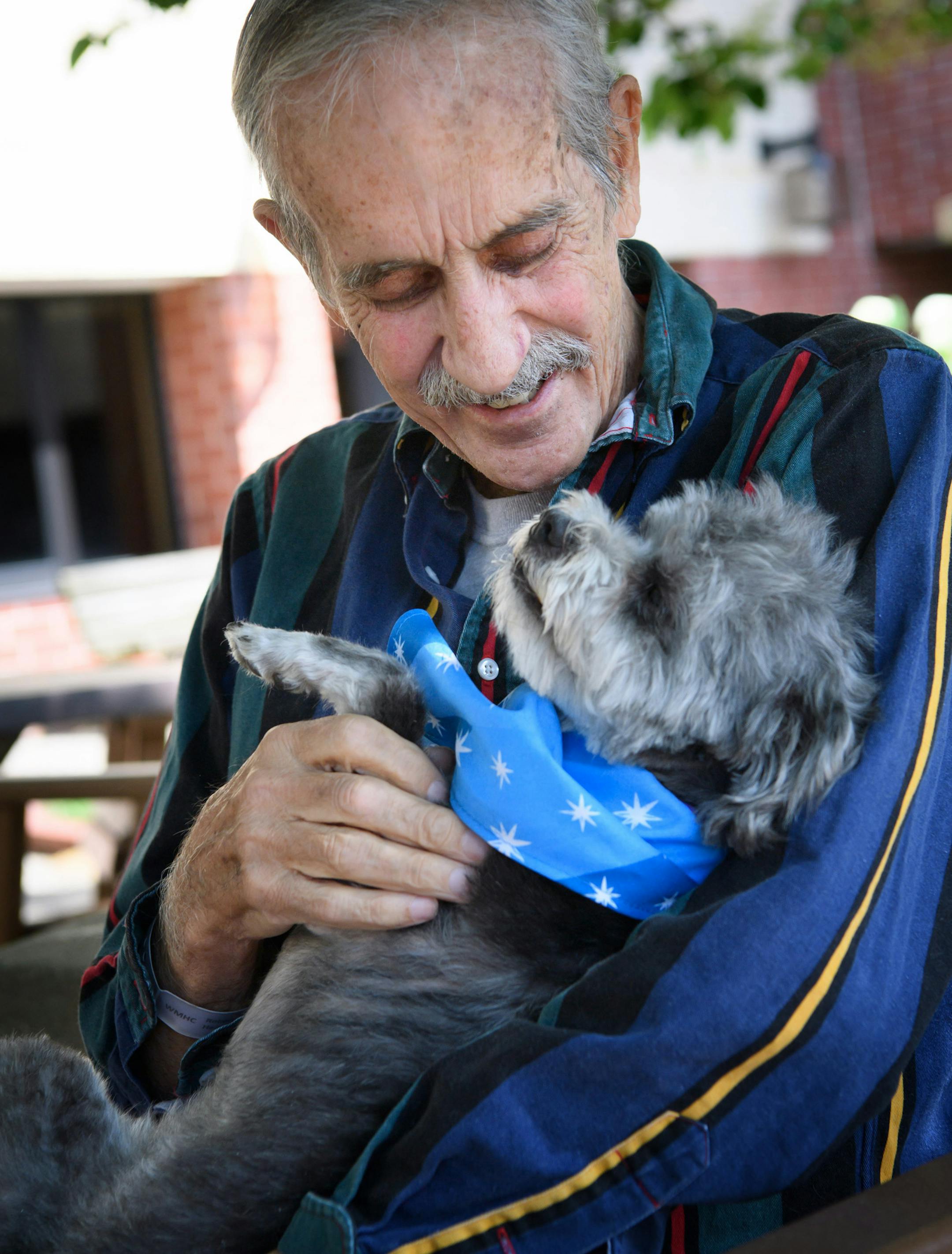 Mike Heath got lots of kisses and cuddles as he reunited with his dog Baby after Toni Johnson found Baby and had him groomed and cleaned at a Petco for Mike. ] GLEN STUBBE * gstubbe@startribune.com Wednesday, June 29, 2016 Toni Johnson after reuniting Baby with its owner Mike Heath she took the dog to get shots and groomed. Now she will be returning Baby to Mike. after being groomed at Petco. Please shoot video of Baby doing the trick that proved he was Mike"s dog.