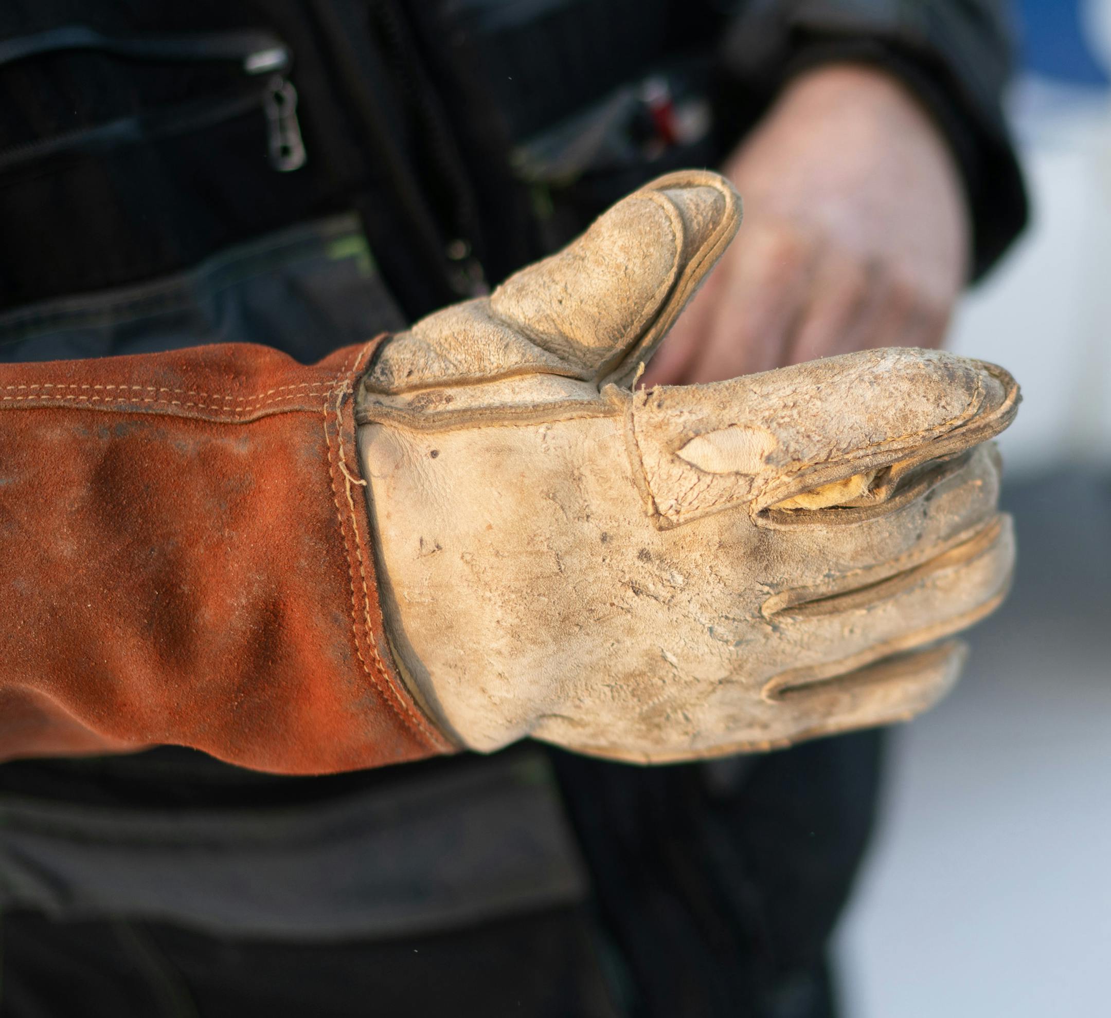 Dan Ekre, animal control officer in Bagley, Minn. showed off his bite glove, a heavy duty padded leather glove that protects him when dogs would rather bite him than jump in his vehicle willingly. ] GLEN STUBBE • glen.stubbe@startribune.com Monday, February 4, 2019 A visit with Dan Ekre, animal control officer in Bagley, Minn., who has faced down rabid bulls, spitting llamas and a herd of baby pigs running down U.S. Hwy 2.