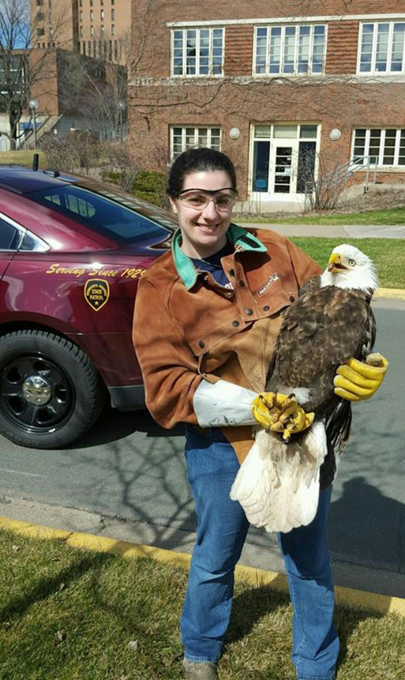 A Raptor Center employee, Katie White, veterinarian technician, was happy to take in this wounded eagle. Credit: Provided by the State Patrol ORG XMIT: -vUOgQG4jmooKRRhqQO0