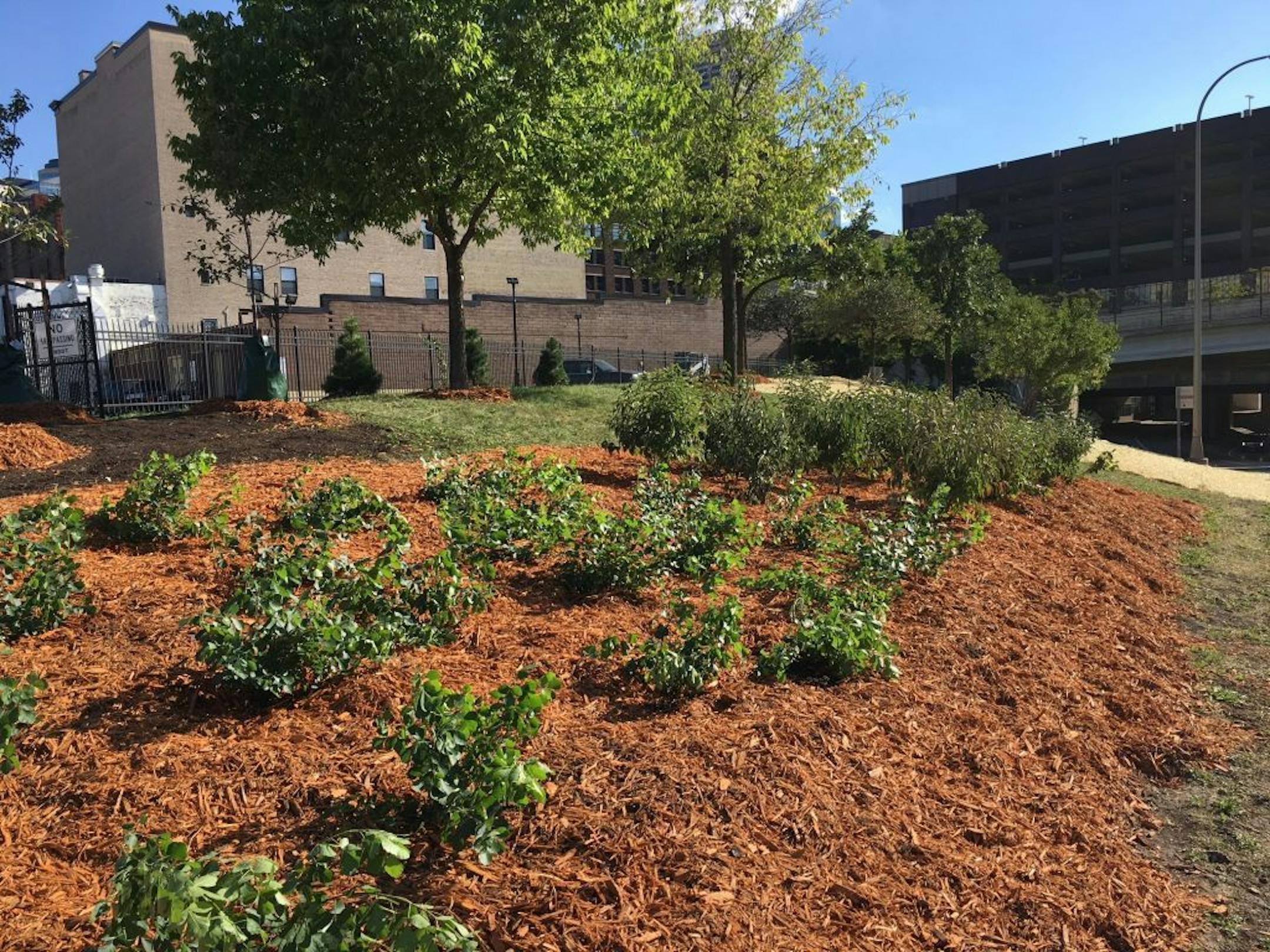 Using grant money from a MnDOT program, volunteers from the North Loop Neighborhood Association gave this right of way a makeover.