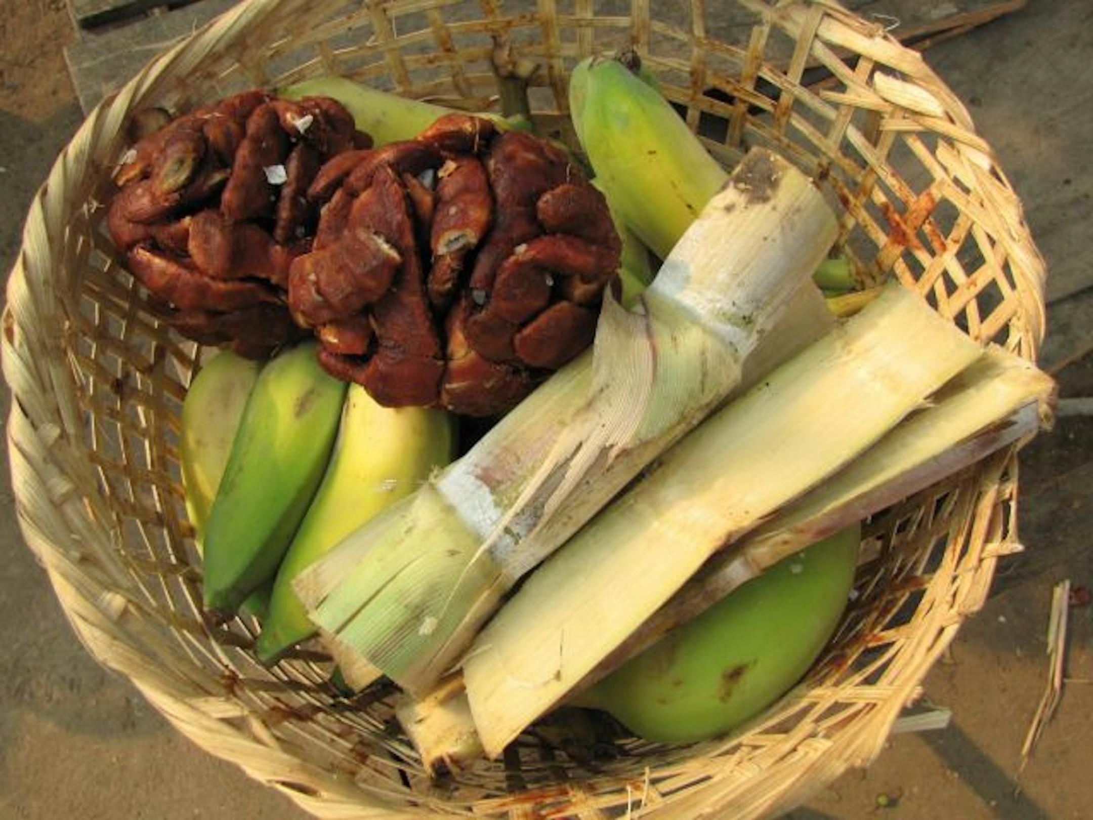 Each participant receives a basket of bananas, tamarind balls dusted with salt and sugar cane to feed our elephant.