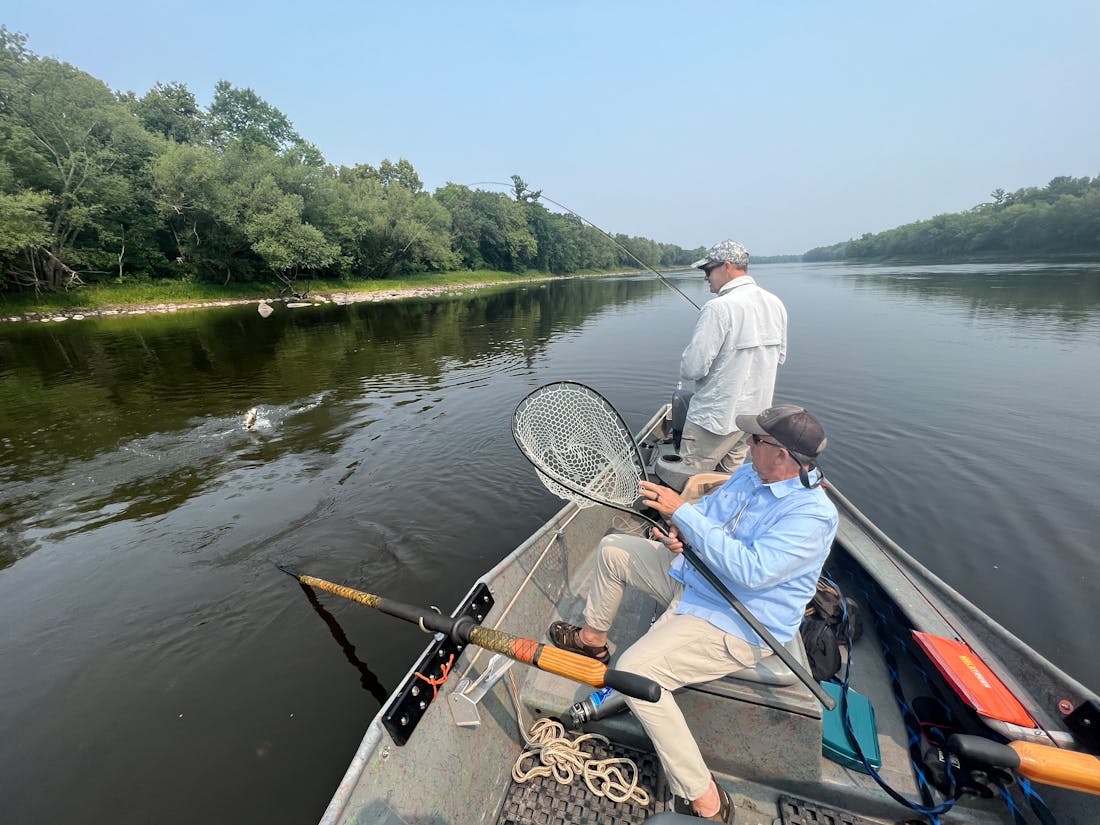 This stretch of St. Croix River is a wonder: Wild, scenic and kind of fishy