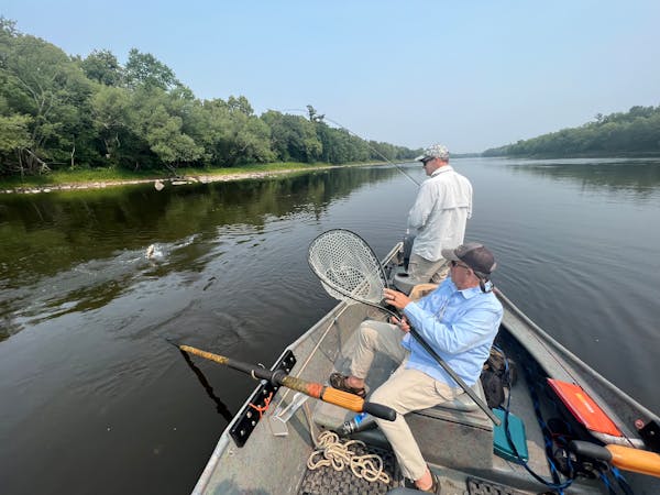 Fly angler John Butler hooks a smallmouth bass on a surface “popper’’ while his fishing partner, Ted Higman, leaves the oars of his drift boat p