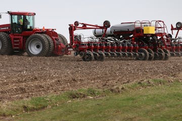 This year's corn crop is behind schedule because of the cold weather. The crop was well under way to being planted in 2014. (BRUCE BISPING/Star Tribun