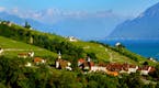 Astonishing natural beauty surrounds the Lake Geneva Region of Switzerland. (Joanne and Tony DiBona) ORG XMIT: 1209822