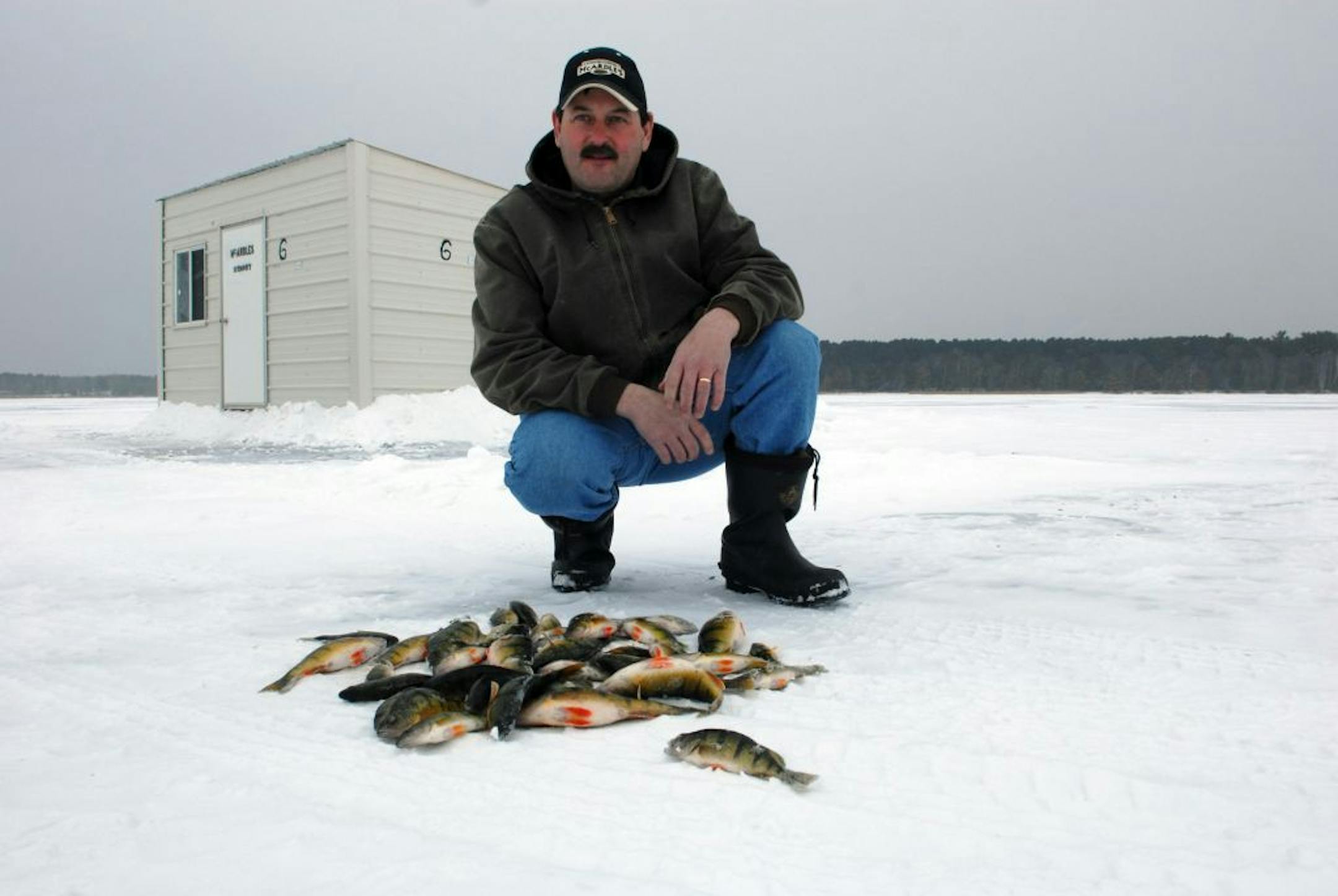 A mess 'o perch: Craig Brown of McArdle's Resort on Lake Winnibigoshish with perch a group of his clients caught Wednesday not far from his resort in 8 feet of water.