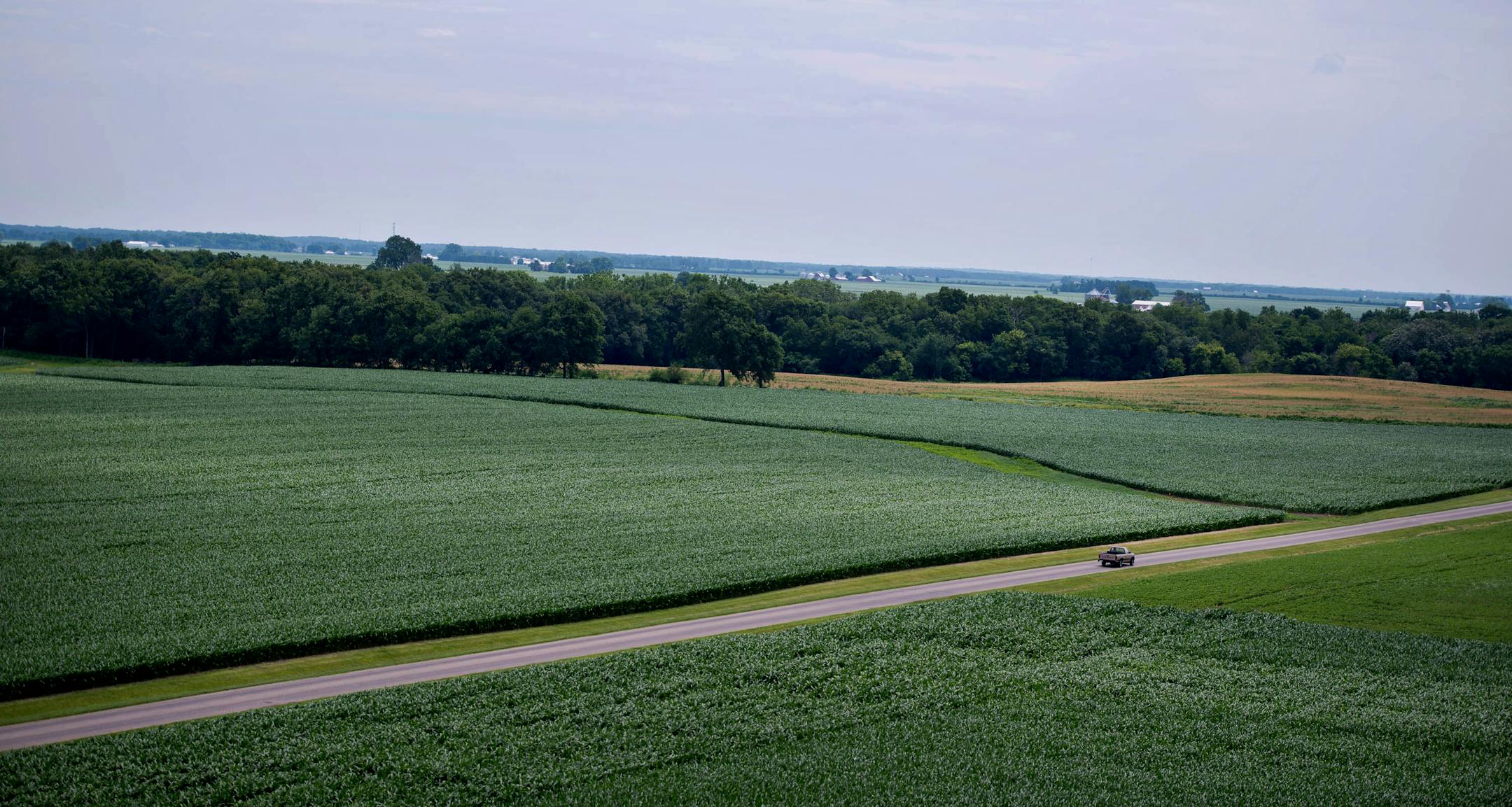Corn stands in a field outside Walnut, Illinois, U.S., on Tuesday, July 2, 2013. Corn futures tumbled to a 32-month low, while soybeans and wheat fell to the cheapest in a year, after the government said U.S. farmers will plant more grain than forecast and the largest oilseed crop ever. Photographer: Daniel Acker/Bloomberg