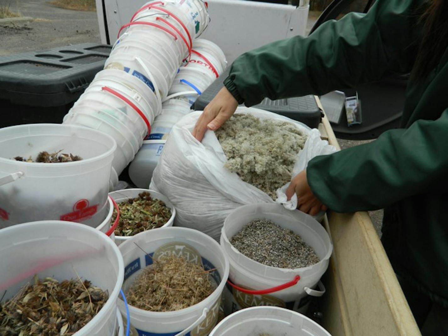 The Prairie Care program was founded at Wild River State Park in 1993 by naturalist Dave Crawford.