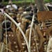 During the annual Cacique Lempira Day parade in Gracias, Honduras, local boys dress as warriors of the indigenous Lenca people. The festival is so pop
