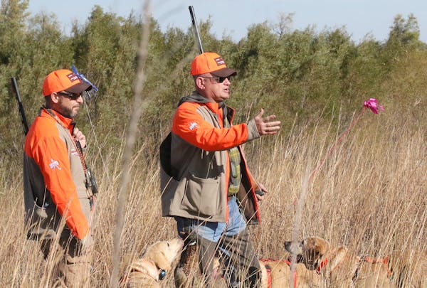 Arlyn Gehrke, left, and Rodney Lowe opened the 2018 Minnesota pheasant opener on Lowe's land west of Luverne.