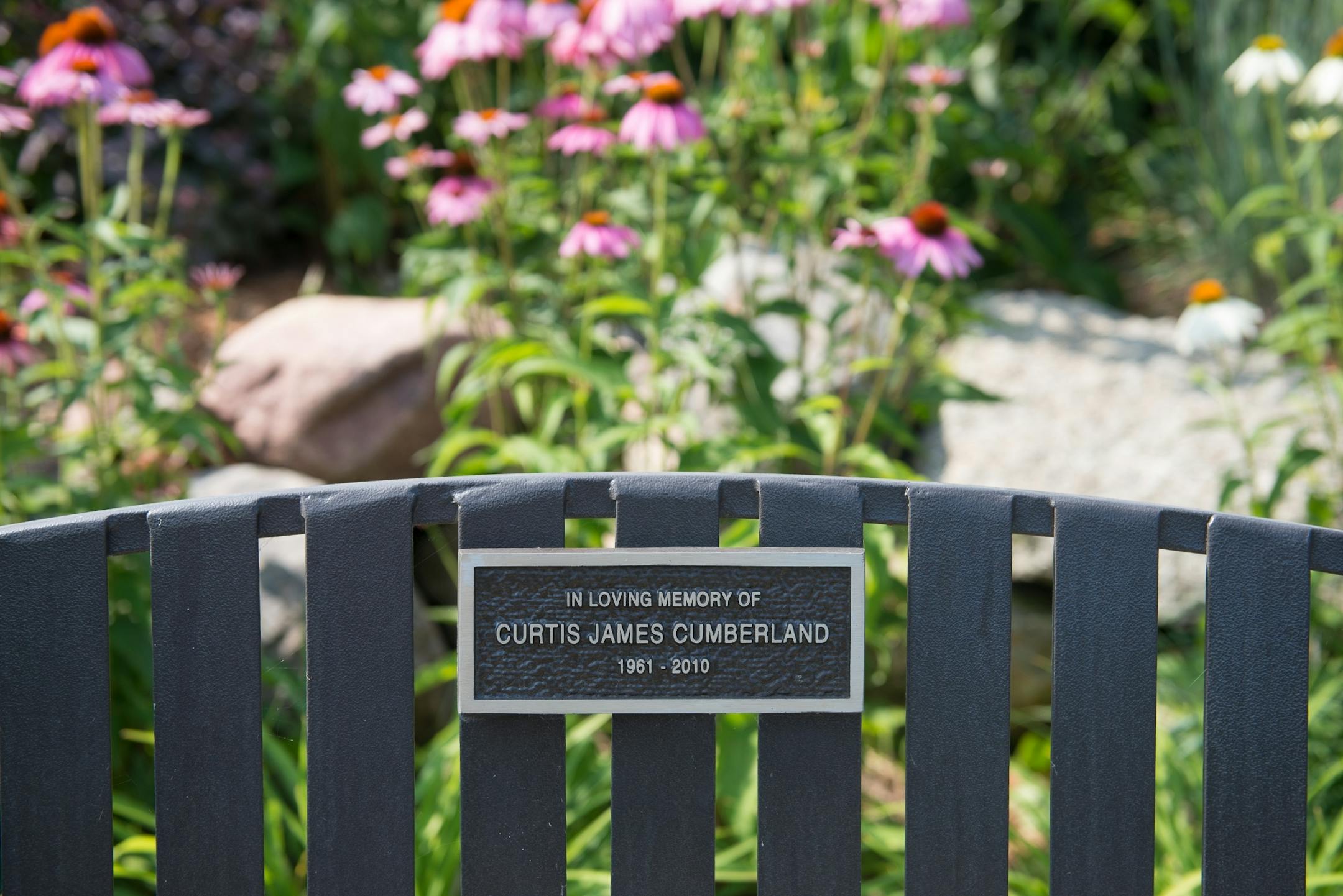 Dan and Nancy Engebretson's garden is in bloom in Elysian, Minnesota on July 31, 2014. A bench in the common space they tend to was placed their by a neighbor in honor of that neighbor's late son. [ Angela Jimenez/Special to the Star-Tribune angelajime@gmail.com Assignment #20035606A_ SLUG: ENGEBRETSON100114_ EXTRA INFORMATION: Since 2006, the Engebretsons have designed and tended to their own garden, and have transformed the common space near their home into a landscaped, shared garden space in