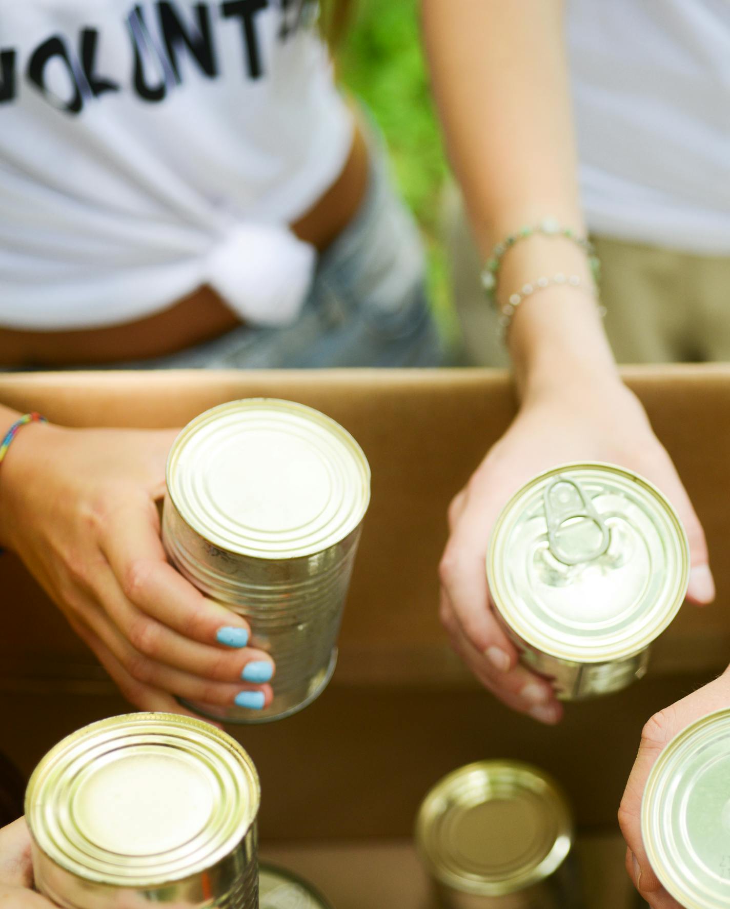 Volunteer and Canned Food