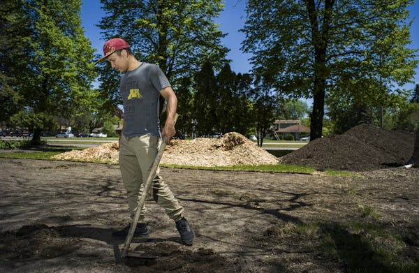 Falcon Heights' Quentin Nguyen plans to build a neighborhood garden in his front yard came to a sudden halt when the City Council voted to ban front y