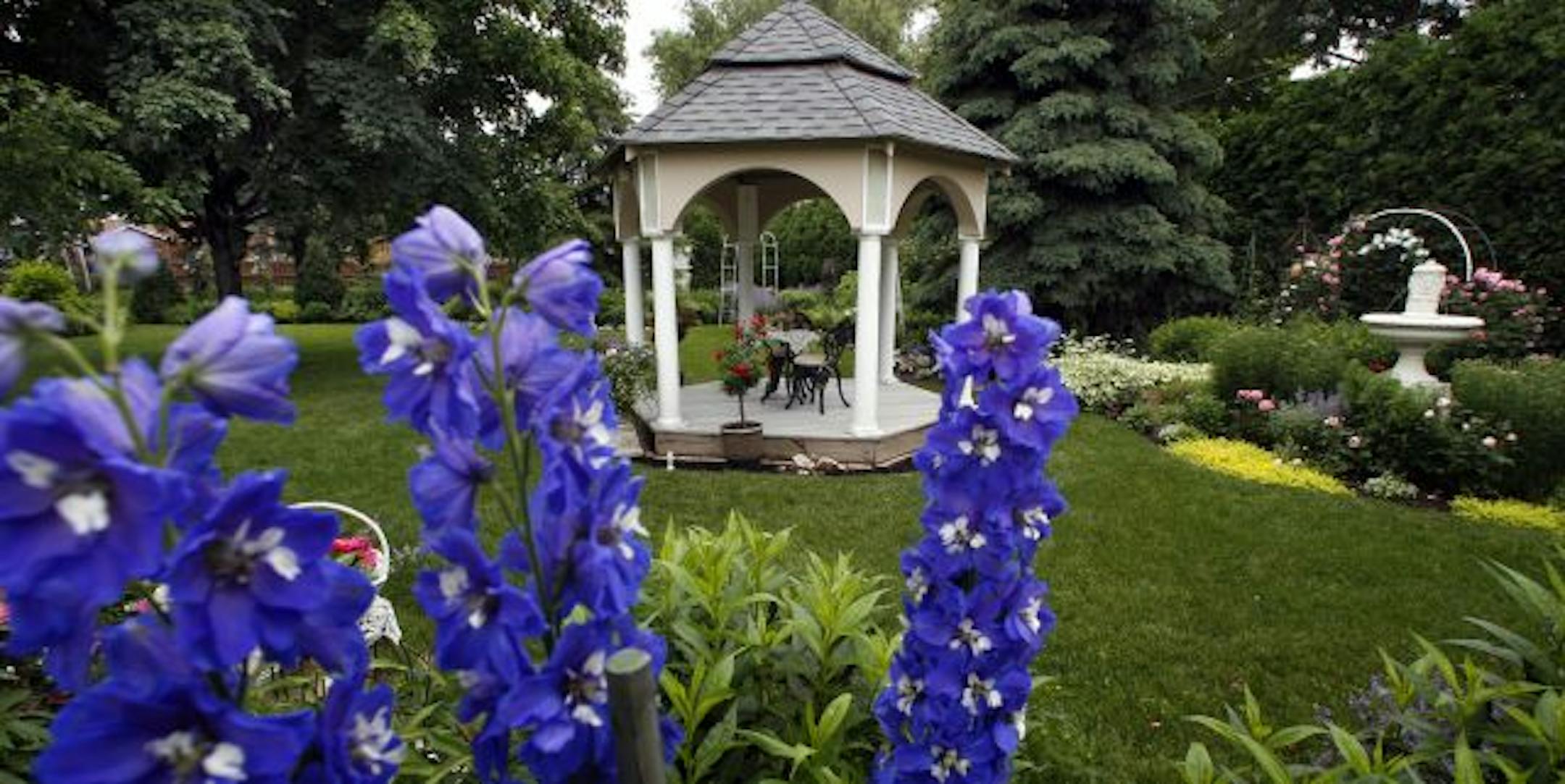 Pacific hybrid delphiniums frame the gazebo. Lichy says she wishes she had more hours in the day for gardening.