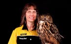 Karla Bloem, Executive Director of the International Owl Center, with Uhu, the Eurasian Eagle Owl. Photo by Alan Stankevitz.