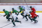 Speed work, a staple of the first day of NHL training camp, will be a blur when the Wild season starts Jan. 14.