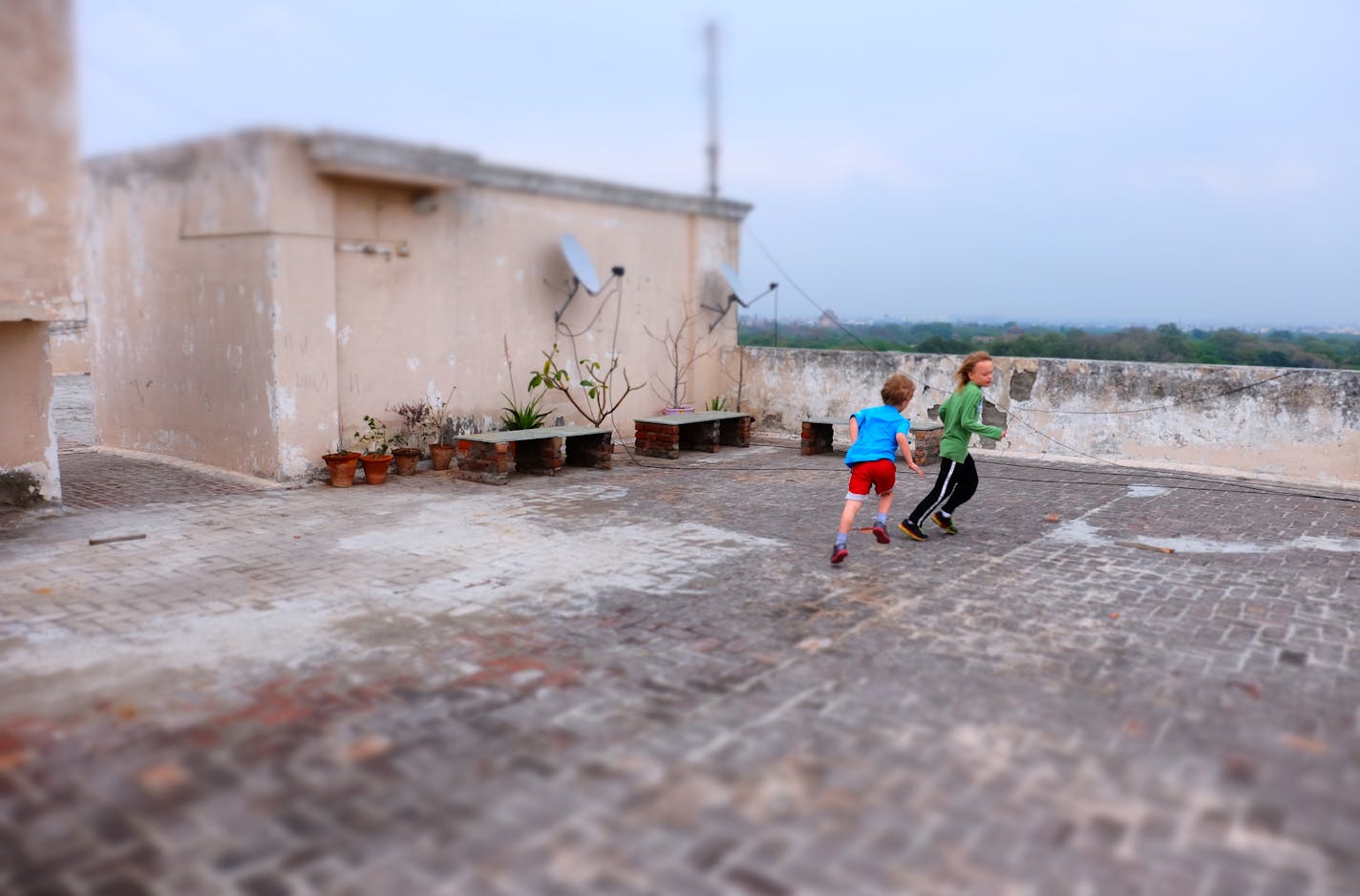 The rooftop of an apartment building in Delhi provided a place to run for travel-sore kids, and a view over the treetops of the Mehrauli area, once a village and now a part of the big city.