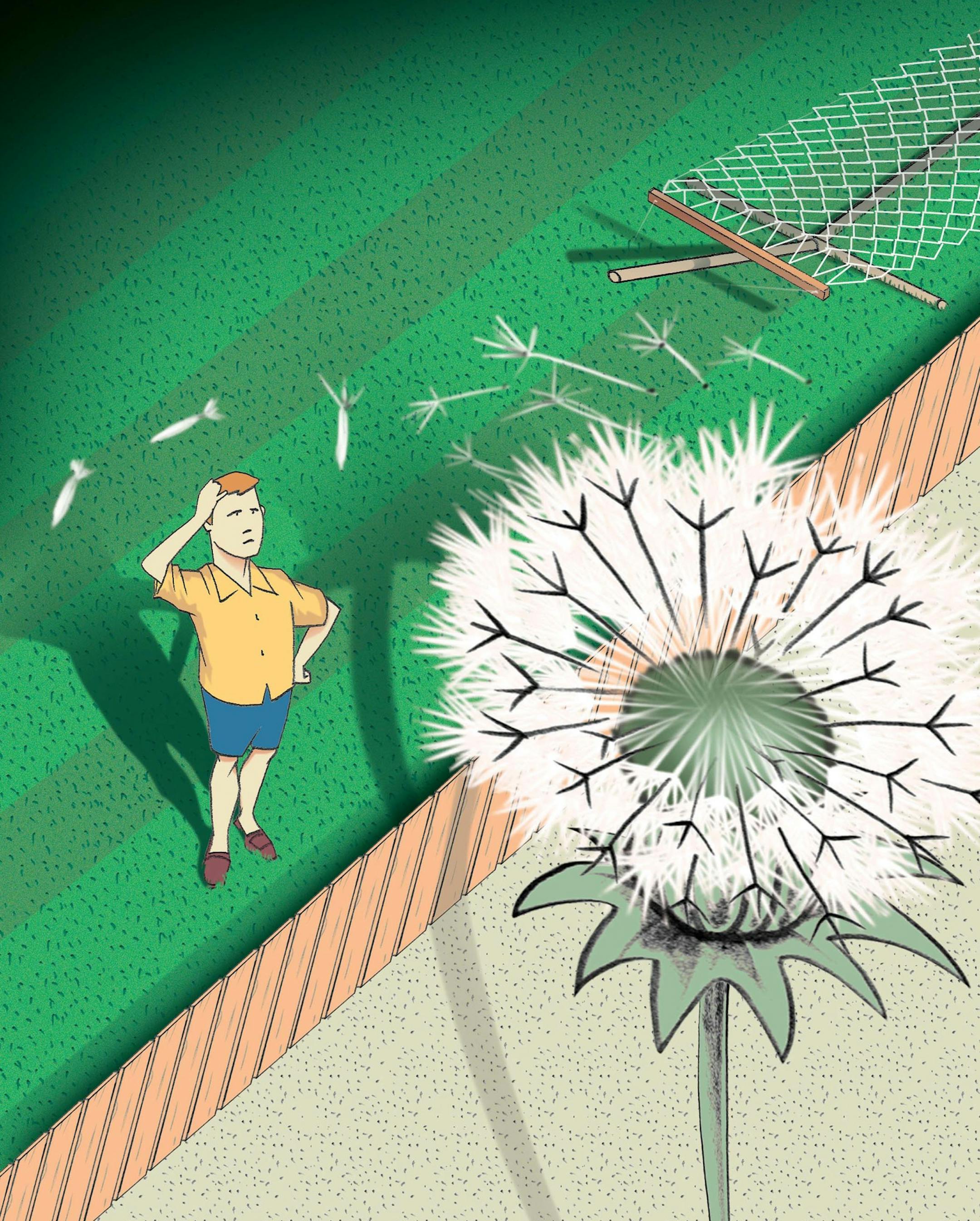 300 dpi 4 col x 16.25 in / 196x413 mm / 667x1404 pixels Randy Chris Morris color illustration of giant dandelion spores floating into frustrated homeowner's perfect lawn. The Dallas Morning News 2005 <p> KEYWORDS: neighborhood weeds weed dandelion lawn garden grass grass mala hierbadiente leon linon jardin krtfeatures features krtnational national krtworld world krtgarden gardening krt aspecto aspectos illustration ilustracion grabado da contributor coddington morris 2005 krt2005