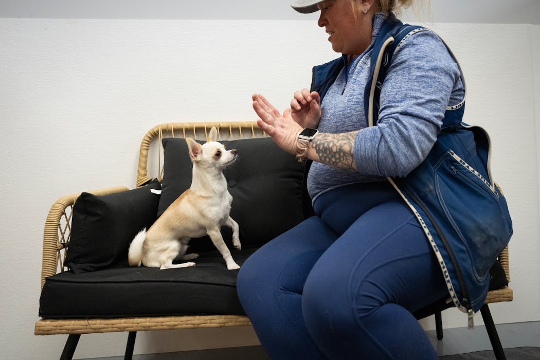 Sara Madrinich worked with Felix on appropriate behavior inside the living room training area at Adventures in Barking in Hopkins on March 7.
