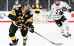 Colorado College hockey captain Grant Cruikshank, a Hobey Baker nominee this past season, is transferring to the Gophers.