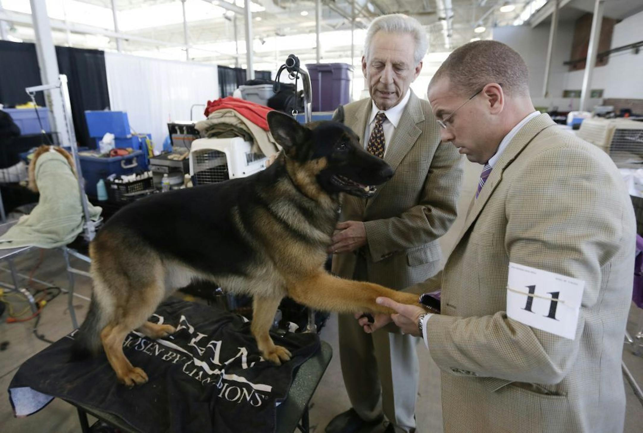 James Moses, a renowned handler of German shepherds, center, with his German shepherd, Ike, and handler Lenny Brown at the Indy Winter Classic Dog Show in Indianapolis, Feb. 7, 2013. Moses estimates he has attended more than 7,500 dog shows, and is connected with many of the owners and handlers of the dogs who have qualified to show in front of him this year at the Westminster Kennel Club Dog Show.