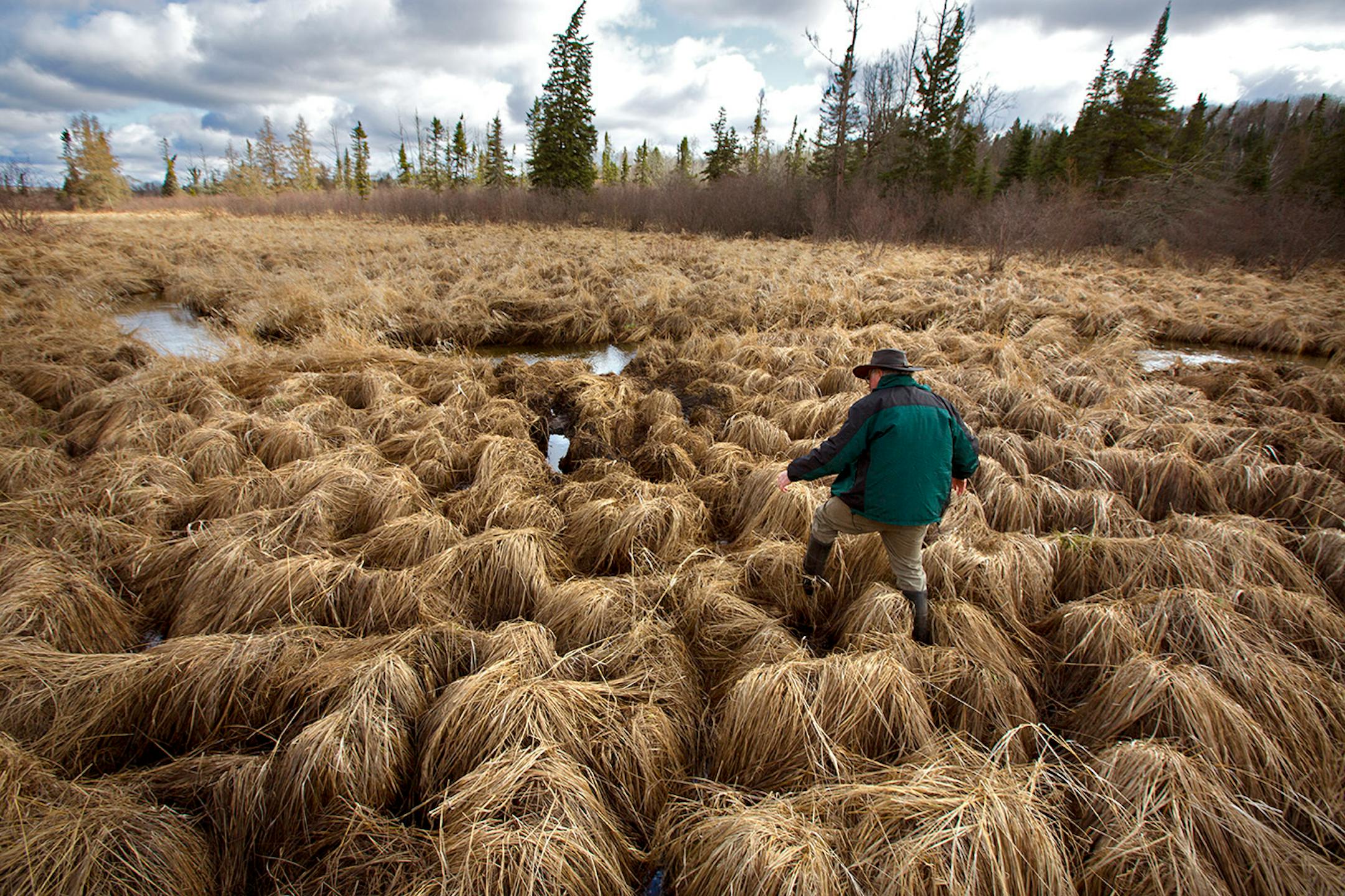 As Enbridge Energy plans another crude oil pipeline through northern Minnesota bog lands, state environmental officials are worried about the risk of another spill in sensitive natural areas, including some that are inaccessible by road. Here, former DNR scientist Paul Stolen shows some of the sensitive wetland areas along La Salle creek north of Itasca State Park. ] BRIAN PETERSON • brian.peterson@startribune.com LaSalle Lake, MN 5/12/2014