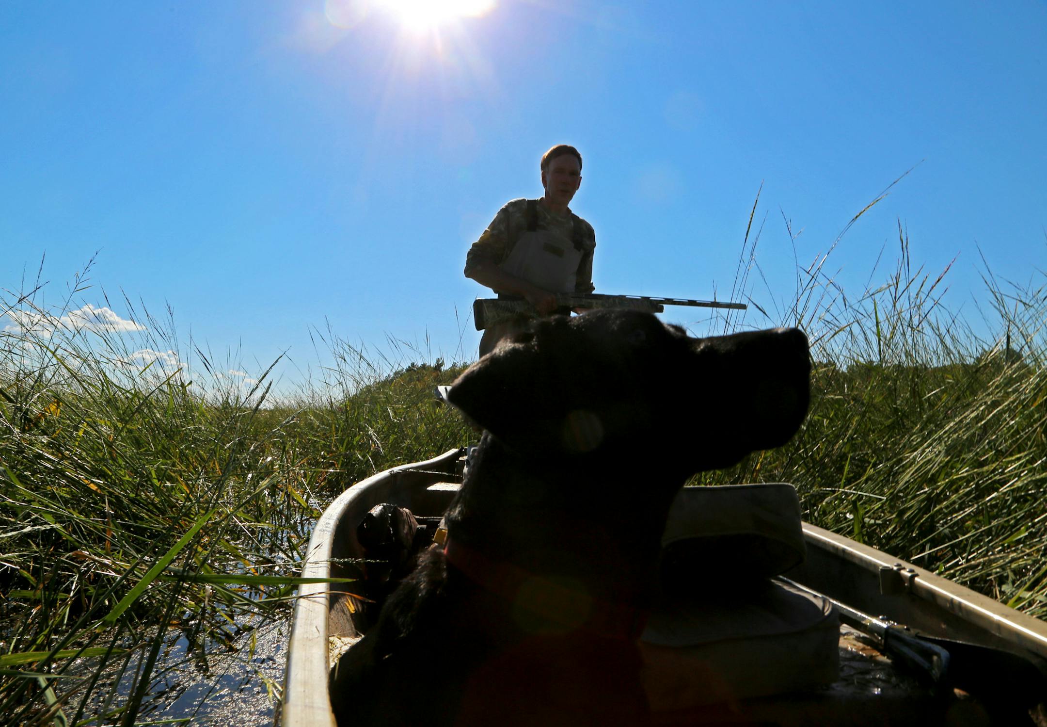 Bill Marchel of Fort Ripley, near Brainerd, and Miollie, a black Labrador, anticipated the flush of a sora rail on the Mississippi River on Wednesday. A fair number of the marsh birds were around, though many have already migrated south from Minnesota.