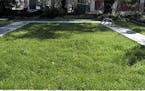 An undated handout photo of a new lawn could not hide the traces of an unwanted pool, found by inspectors. When a home is sold, its many secrets can c