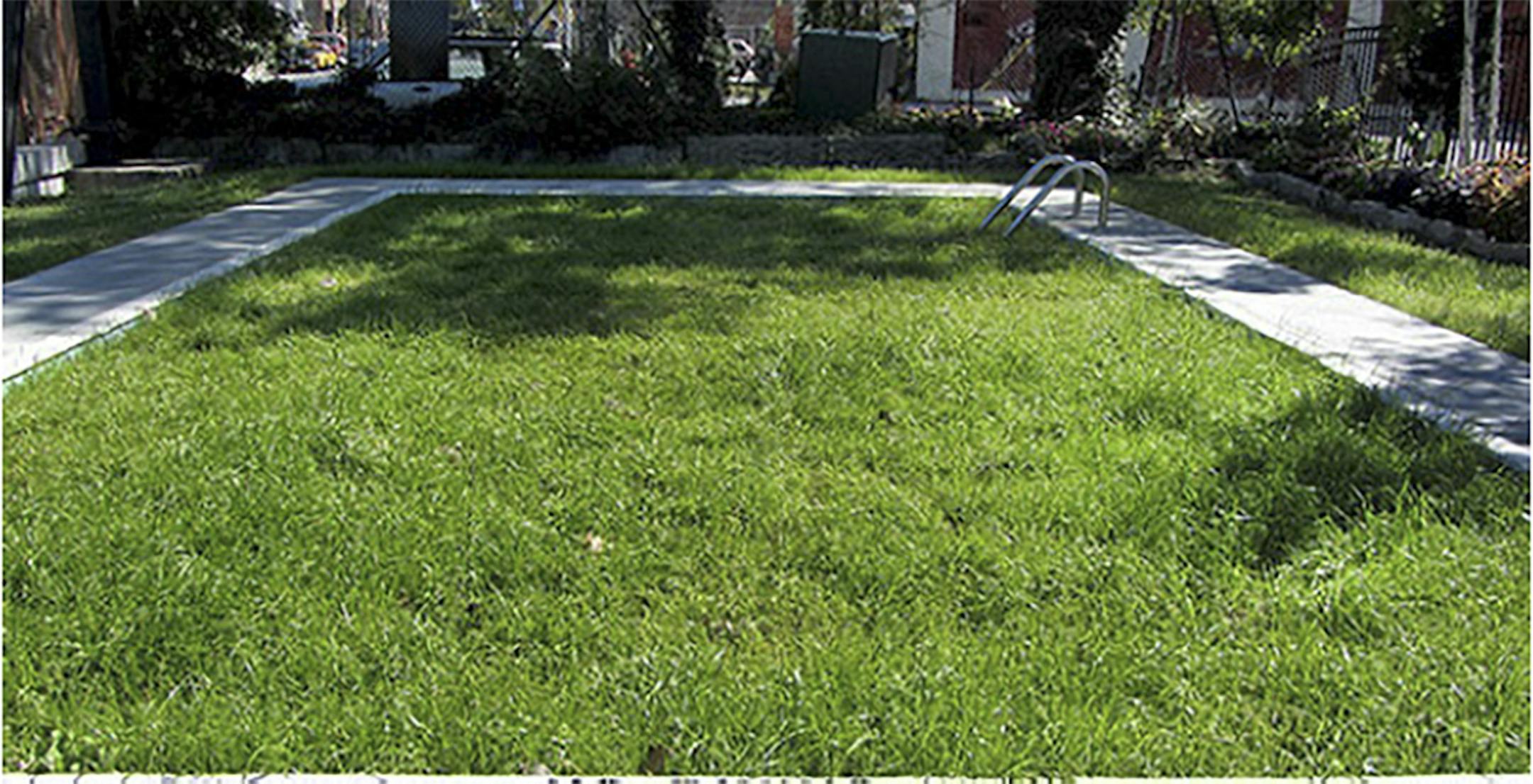 An undated handout photo of a new lawn could not hide the traces of an unwanted pool, found by inspectors. When a home is sold, its many secrets can come out of the closet. Brokers, potential buyers and home inspectors step inside properties that may have been completely private for years — peering into the life of the previous owner. (Handout via The New York Times) -- NO SALES; FOR EDITORIAL USE ONLY WITH HOME-ODDITIES BY RONDA KAYSEN FOR MARCH 26, 2017. ALL OTHER USE PROHIBITED. --