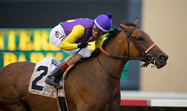 Ready to Runaway, ridden by Roimes Chirinos, won the $50,000 Minnesota Turf Distaff at Canterbury Park in 2021.