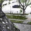Hail pounded a roof as a severe storm rolled through the Twin Cities in May 2022.





DAVID JOLES • david.joles@startribune.com



standalone featu
