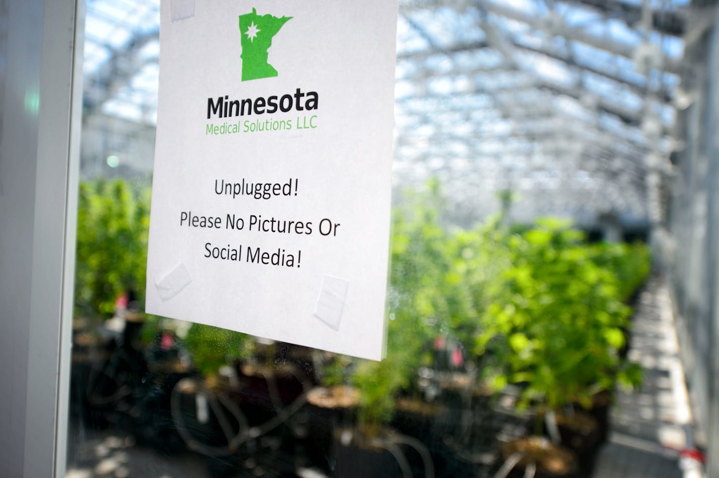 Minnesota Medical Solutions will be supplying half of the state's medical marijuana.